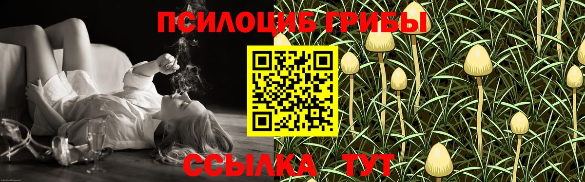 продажа наркотиков  Галлюциногенные грибы GOLDEN TEACHER  Вход с VPN  Туапсе 