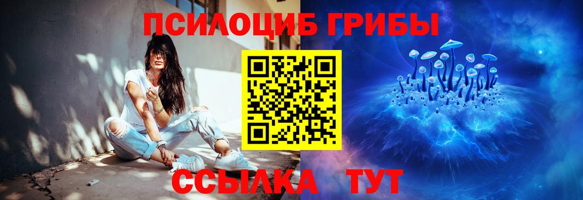 Псилоцибиновые грибы Туапсе